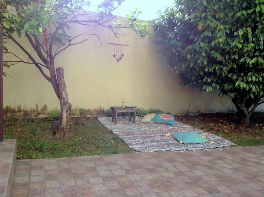 Myninho Villa Vila Nova de Gaia Exterior foto